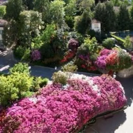 Grand Des Iles Borromees &